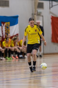 Bild 547 - wBJ NFV Futsalmeisterschaft